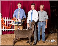 LCFair2016-2578.jpg