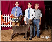 LCFair2016-2579.jpg