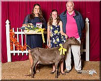 LCFair2016-2582.jpg