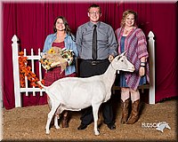 LCFair2016-2583.jpg