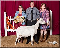 LCFair2016-2584.jpg