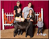 LCFair2016-2587.jpg