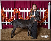 LCFair2016-2590.jpg