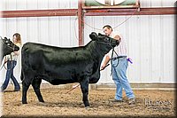 LCFAIR17-1874.jpg