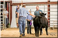 LCFAIR17-2645.jpg