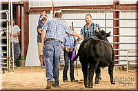 LCFAIR17-2646.jpg