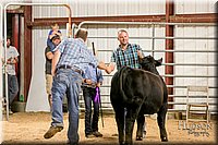 LCFAIR17-2647.jpg