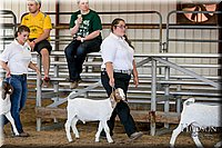 LCFAIR17-1801.jpg