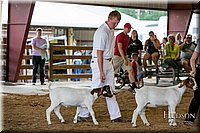 LCFAIR17-1811.jpg