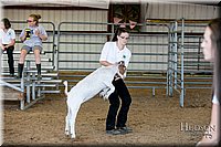 LCFAIR17-1815.jpg