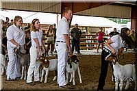 LCFAIR17-1819.jpg