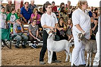 LCFAIR17-1820.jpg