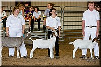 LCFAIR17-1828.jpg