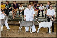 LCFAIR17-1829.jpg