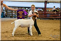 LCFAIR17-2467.jpg