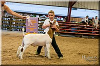 LCFAIR17-2468.jpg