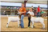 LCFAIR17-2477.jpg