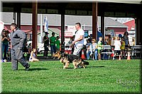 LCFAIR17-1764.jpg