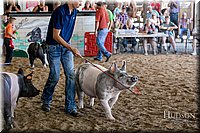 LCFAIR17-4571.jpg