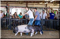 LCFAIR17-4586.jpg