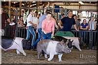 LCFAIR17-4590.jpg