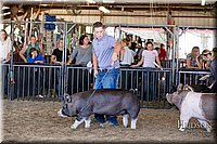 LCFAIR17-4592.jpg