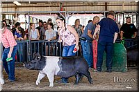 LCFAIR17-4594.jpg