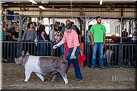 LCFAIR17-4597.jpg