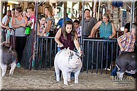 LCFAIR17-4600.jpg