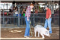 LCFAIR17-3612.jpg