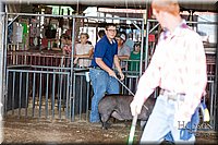 LCFAIR17-3614.jpg