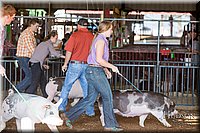 LCFAIR17-3618.jpg