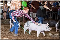 LCFAIR17-3625.jpg