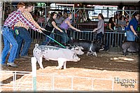 LCFAIR17-3627.jpg