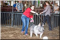 LCFAIR17-3628.jpg