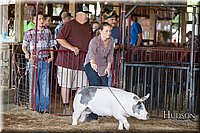 LCFAIR17-3630.jpg