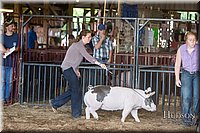 LCFAIR17-3631.jpg