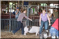 LCFAIR17-3632.jpg