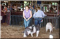 LCFAIR17-3635.jpg