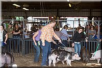 LCFAIR17-3640.jpg