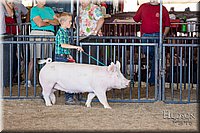 LCFAIR17-4345.jpg