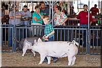 LCFAIR17-4346.jpg