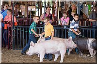 LCFAIR17-4348.jpg