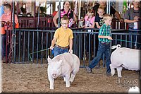 LCFAIR17-4349.jpg