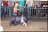 LCFAIR17-4351.jpg