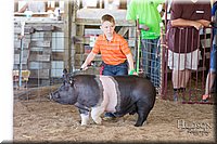 LCFAIR17-4352.jpg