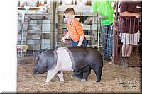 LCFAIR17-4353.jpg