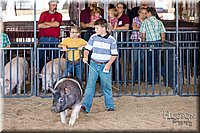 LCFAIR17-4354.jpg