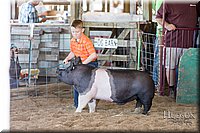 LCFAIR17-4357.jpg