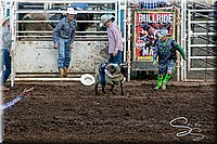 LCFAIR17-7050.jpg